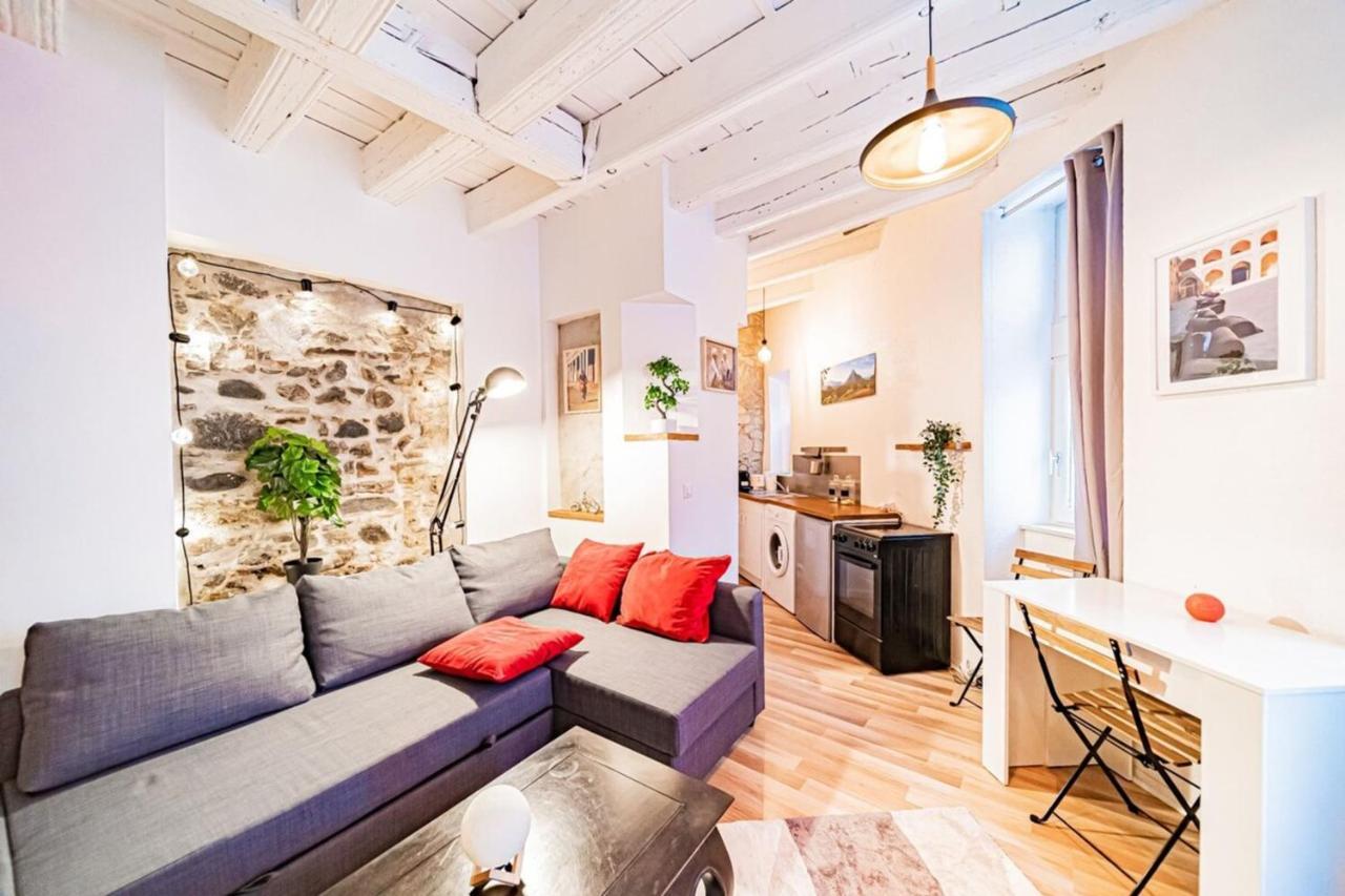 Appartamento Le Petit St Paul - Vieux Lione Esterno foto
